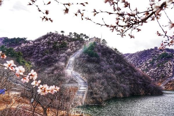水長城景區有寵物寄養服務嗎？