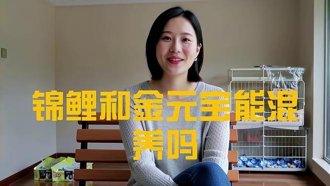 元寶魚和龍魚能混養嗎圖片