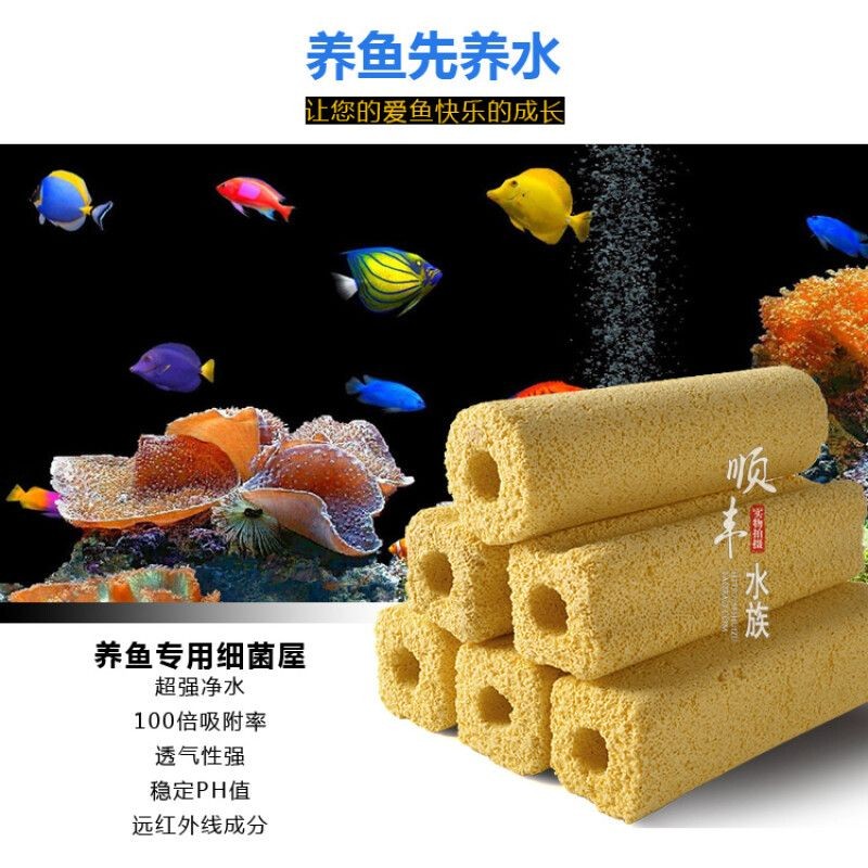 魚缸過濾系統的構建魚缸生態系統的構建魚缸生態系統：如何選擇一個健康的魚缸生態系統