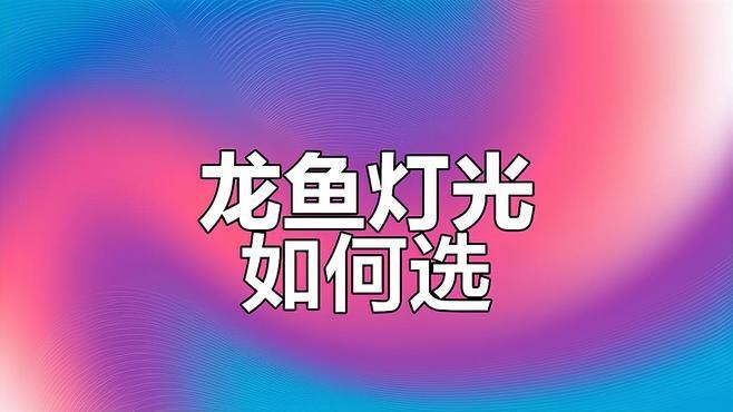 紅龍魚燈什么牌子好用又實惠耐用的 紅龍魚燈什么牌子好用又實惠耐用的 龍魚百科 第5張
