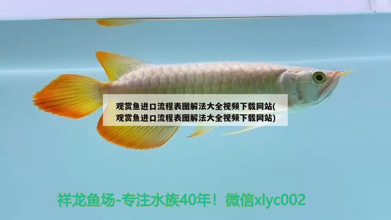 雙流公興卿親水簇經營部（在雙流區公興水廠電話）