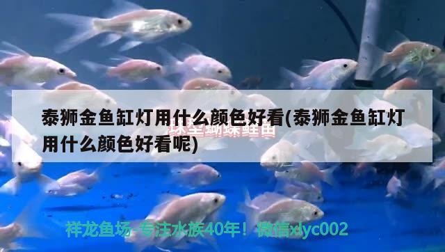 雙流公興卿親水簇經營部（在雙流區公興水廠電話）