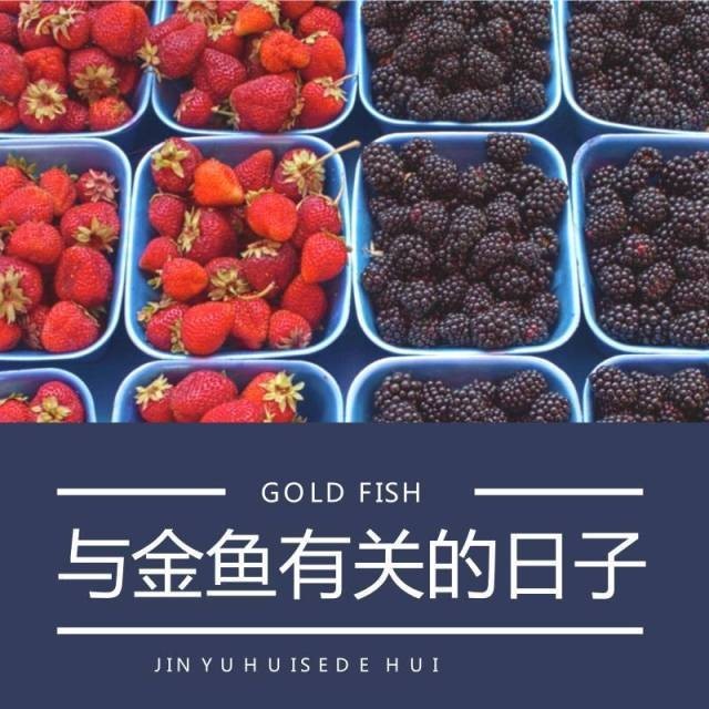 如何區分真假熊貓蝶尾金魚？