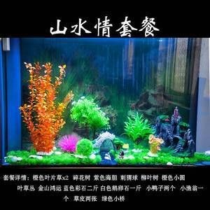 什么樹可以放魚缸里養：魚缸中的大水草對光照和水質的影響和美觀性的影響和美觀 什么樹可以放魚缸里養：魚缸中的大水草對光照和水質的影響和美觀性的影響和美觀 魚缸百科 第5張