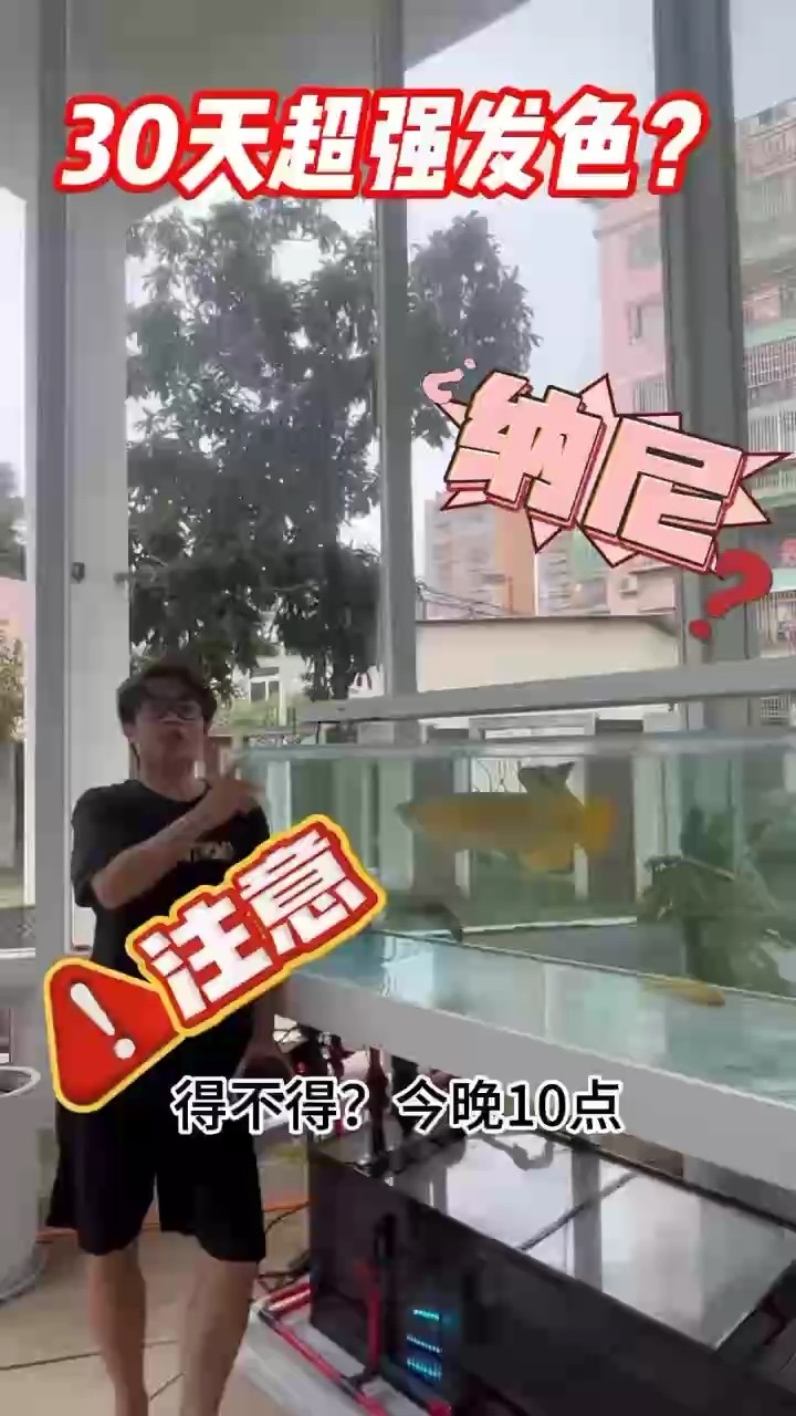 紅龍魚發色如此簡單鱗瀾飼料 紅龍魚發色如此簡單鱗瀾飼料 龍魚論壇