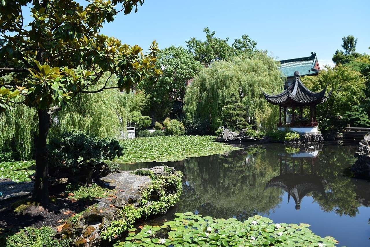 自己家養(yǎng)的銀龍魚能吃嗎（銀龍魚家庭可以養(yǎng)么） 自己家養(yǎng)的銀龍魚能吃嗎（銀龍魚家庭可以養(yǎng)么） 銀龍魚百科