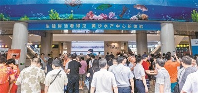 廣州賣魚批發市場在哪里批發