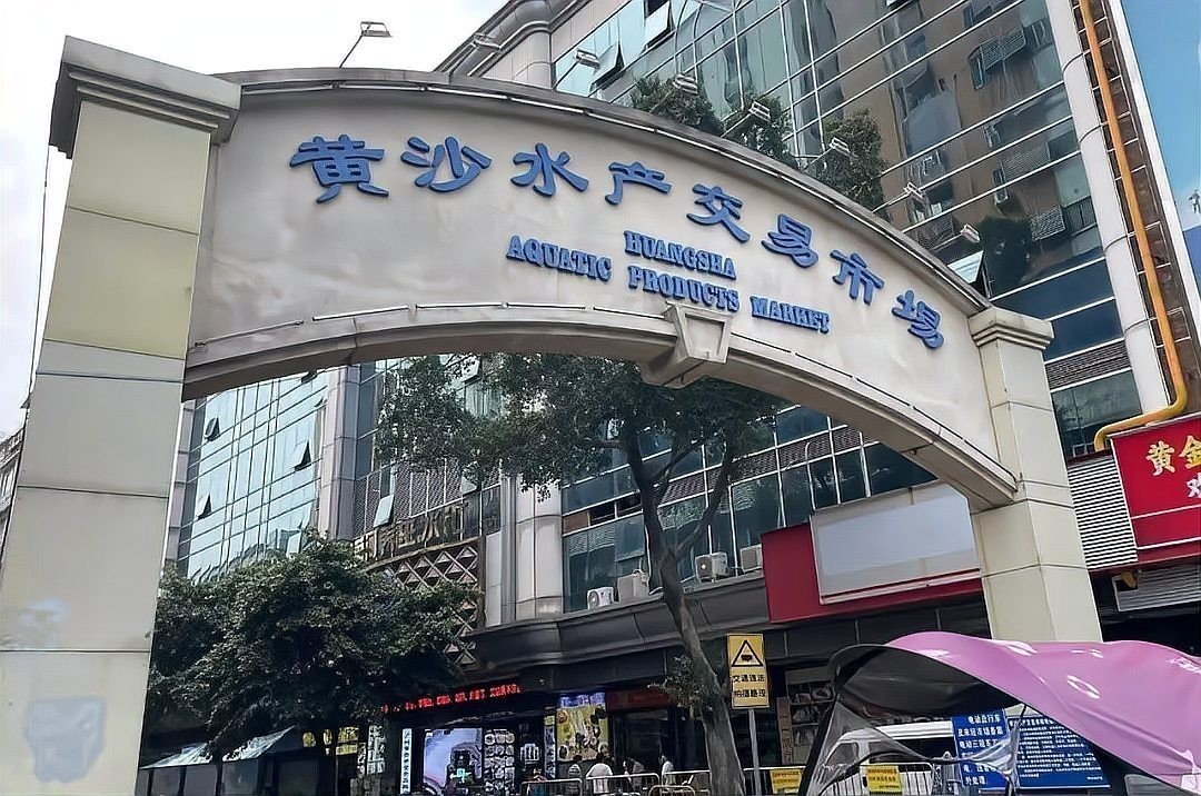廣州賣魚批發市場在哪里批發