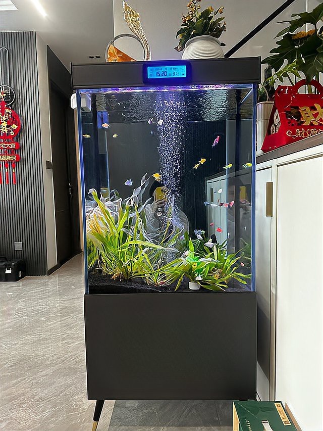 龍魚不能擺放三個地方