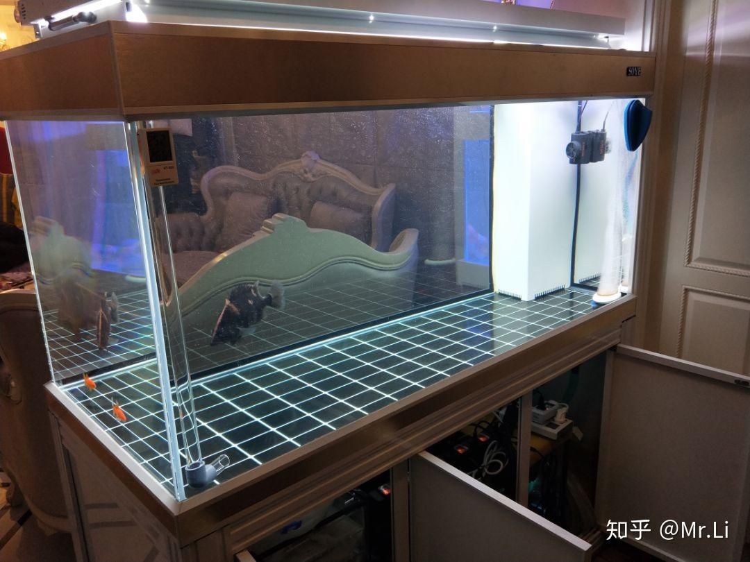 金晶魚(yú)缸和森森魚(yú)缸哪個(gè)好：金晶魚(yú)缸與森森魚(yú)缸價(jià)格對(duì)比 金晶魚(yú)缸和森森魚(yú)缸哪個(gè)好：金晶魚(yú)缸與森森魚(yú)缸價(jià)格對(duì)比 魚(yú)缸百科 第3張