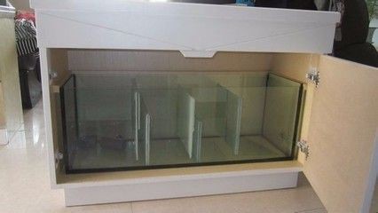 魚缸流水聲大怎么辦：家庭diy魚缸改造秘籍 魚缸流水聲大怎么辦：家庭diy魚缸改造秘籍 魚缸百科 第2張