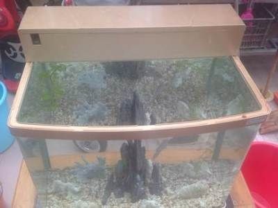 廣州買魚缸紙的地方有哪些（如何選擇合適的魚缸背景紙）