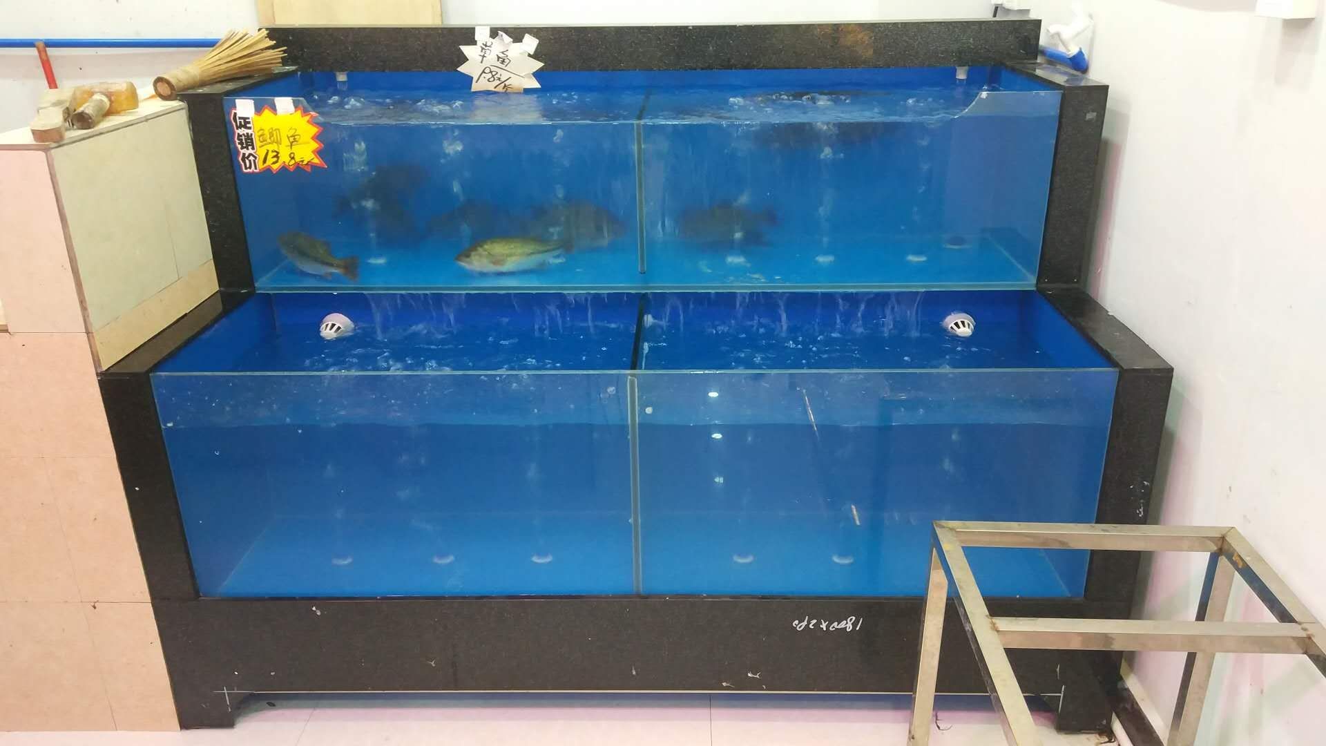 廣州買魚缸紙的地方有哪些（如何選擇合適的魚缸背景紙）