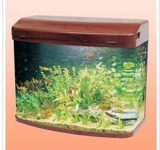 魚缸養水需要換水嗎：魚缸養水過程需要換水嗎