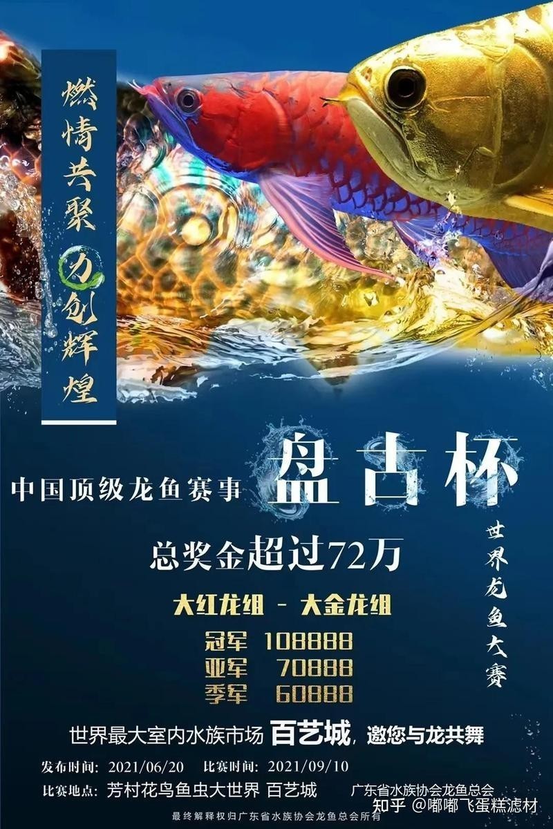 龍魚大賽冠軍獎勵