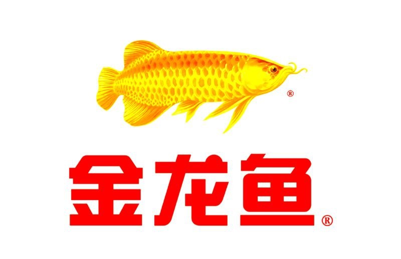 金龍魚國企還是私企啊