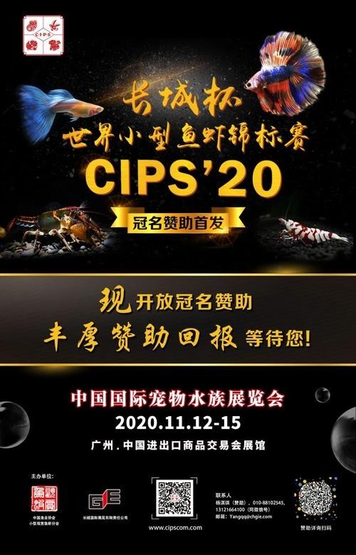 長城杯觀賞蝦錦標賽 長城杯觀賞蝦錦標賽 2025長城杯龍魚大賽 第1張