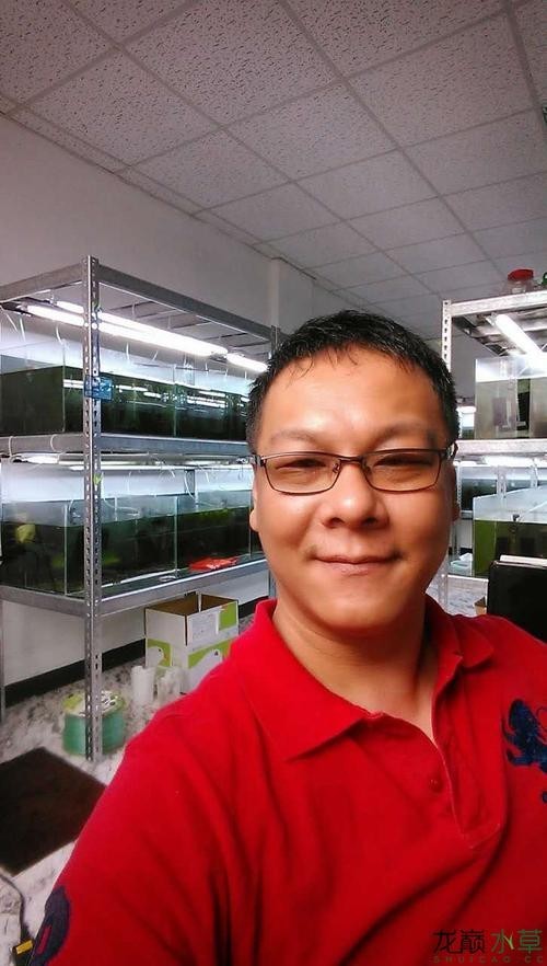 長城杯觀賞蝦錦標賽 長城杯觀賞蝦錦標賽 2025長城杯龍魚大賽 第6張