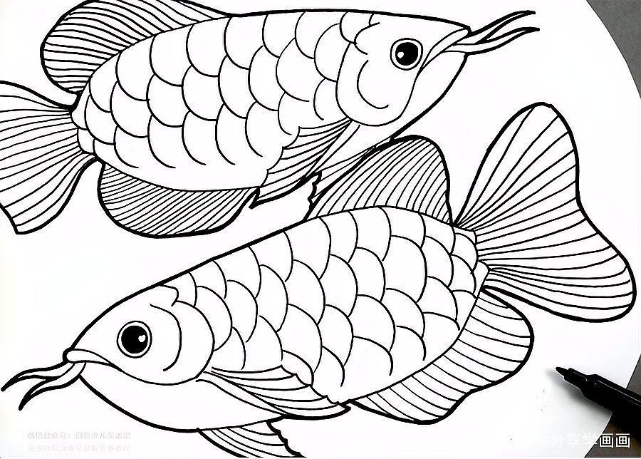 龍魚圖片 壁紙卡通版