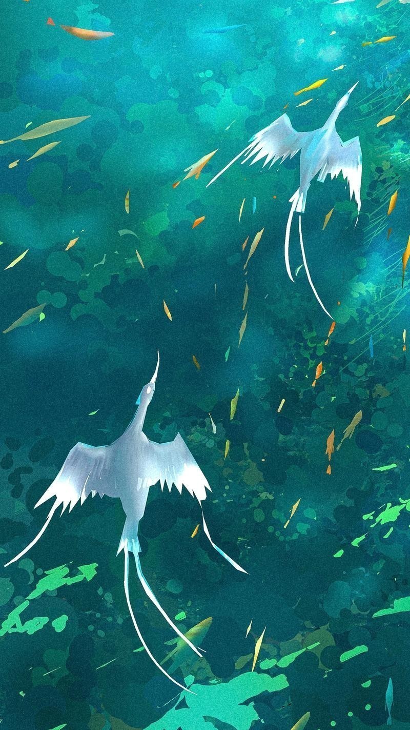 龍魚圖片 壁紙卡通版