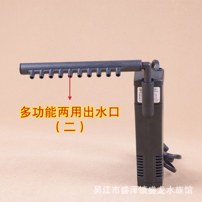 銀龍魚怎么賣錢（銀龍魚怎么賣錢的）