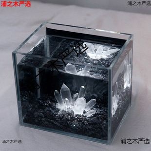世界頂級魚缸造景圖片：三湖慈鯛魚缸造景頂級圖片