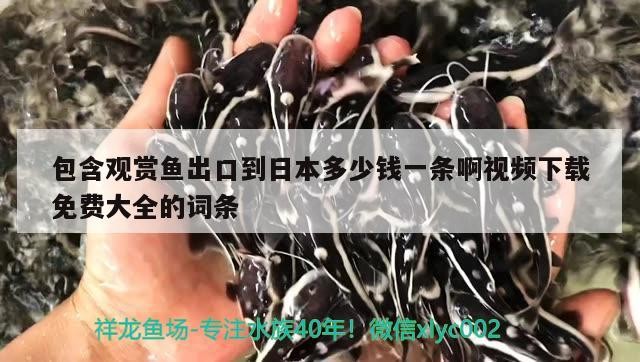魚缸養的銀龍可以吃嗎有毒嗎：小魚缸養銀龍魚會長不大嗎