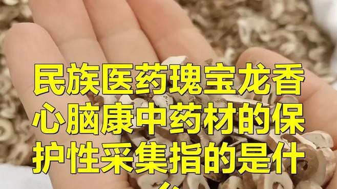 紅龍魚的品牌有哪些？