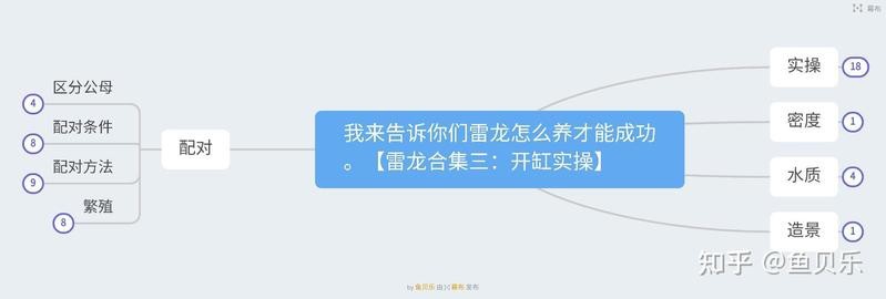 有沒有更簡潔的龍魚缸開缸教程？