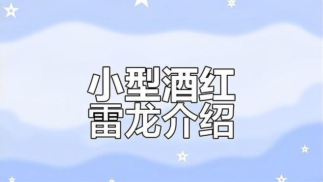 最好繁殖的雷龍魚
