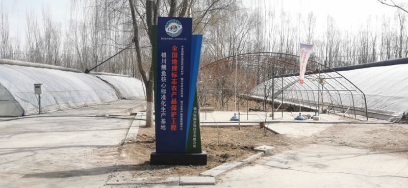瘦身魚為什么不建議吃