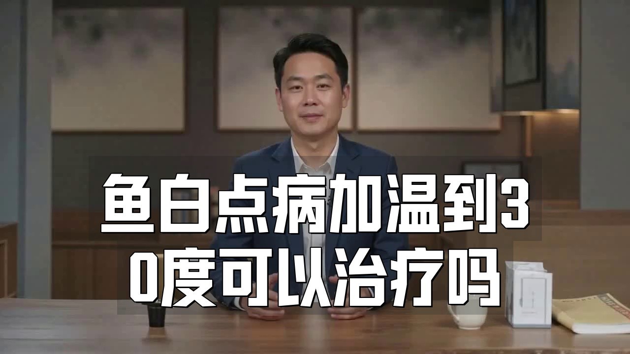 雷龍魚白點病的治療
