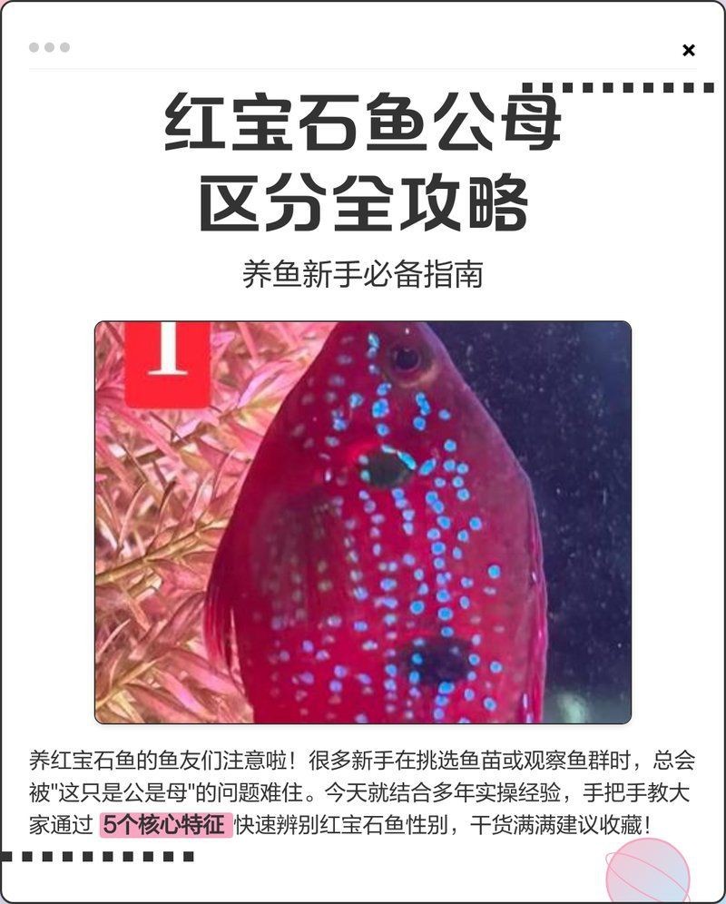 食人蝴蝶吃人圖片