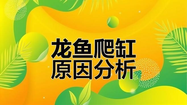 龍魚一會趴缸一會游來游去怎么回事啊 龍魚一會趴缸一會游來游去怎么回事啊 龍魚百科 第1張
