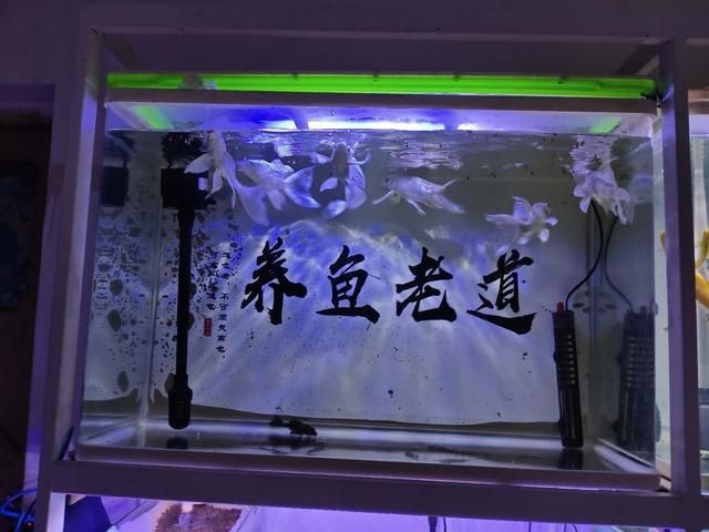 賣二手魚(yú)缸 賣二手魚(yú)缸 龍魚(yú)論壇 第2張
