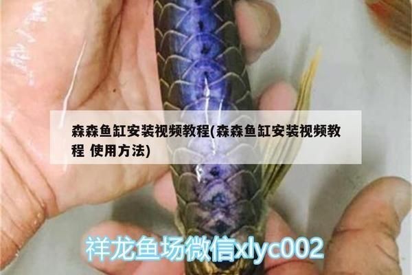 森森魚缸安裝教程：森森魚缸hlh1058e三代安裝