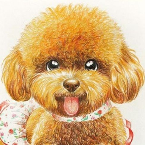 紅尾平克魚價格表和圖片 紅尾平克魚價格表和圖片 龍魚論壇 第10張