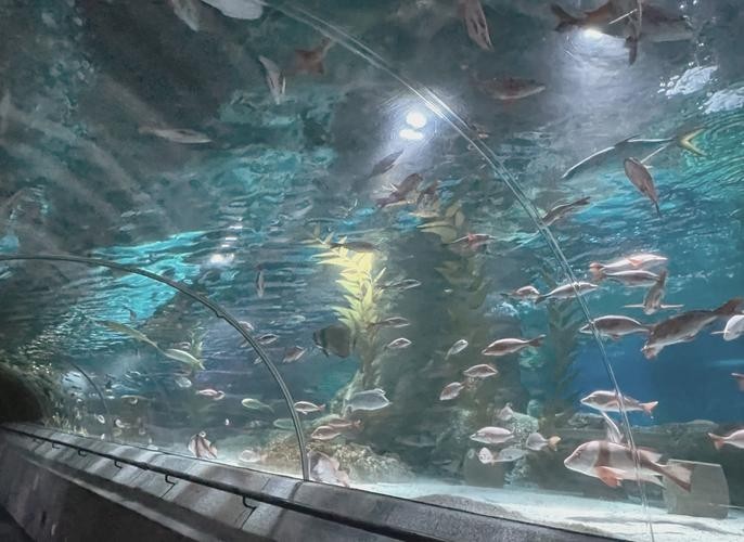 寧波水族展