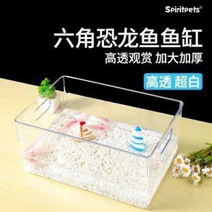 六角恐龍魚魚缸造景多少錢一條：六角恐龍魚缸造景多少錢一條六角恐龍魚魚缸造景價格