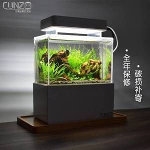 缸底過濾的魚缸如何做造景（如何選擇合適的魚缸底濾系統(tǒng)）