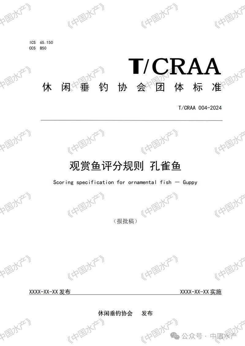 2023年長城杯孔雀魚錦標賽獲獎名單