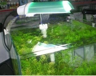魚缸燈具的選擇和設(shè)計：水族燈光設(shè)計的藝術(shù)水族燈光設(shè)計不僅是一項技術(shù)活