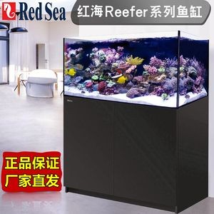 紅海魚缸為何如此昂貴，科學家們能夠了解：紅海魚缸為什么如此昂貴