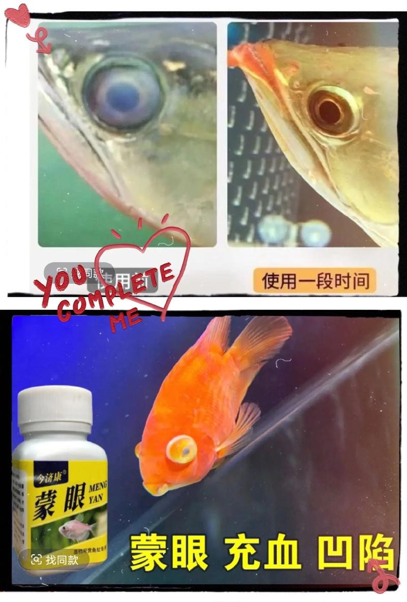 龍魚蒙眼最忌三種東西圖片