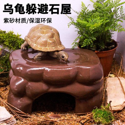 銀龍魚的養殖方法和注意事項視頻教程（銀龍魚的養殖方法和注意事項視頻教程全集） 銀龍魚的養殖方法和注意事項視頻教程（銀龍魚的養殖方法和注意事項視頻教程全集） 銀龍魚百科