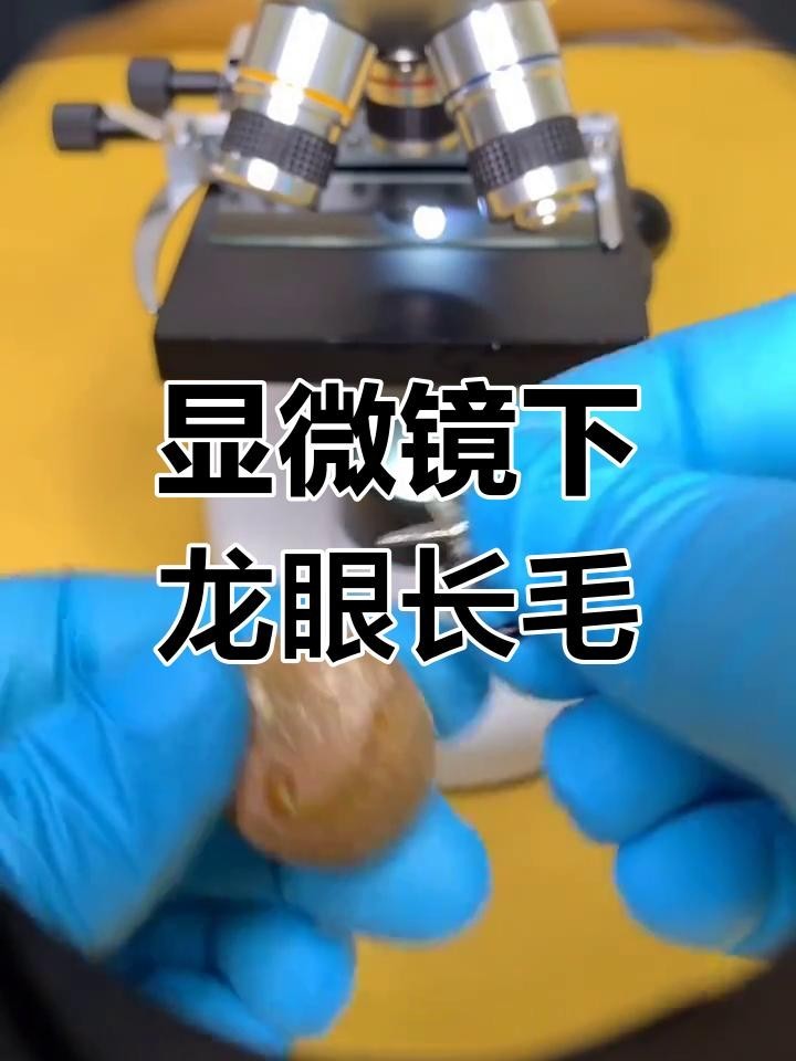 霉變龍眼有哪些特征？