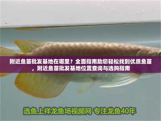 魚苗批發(fā)基地 批發(fā)市場