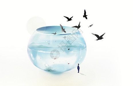魚缸圖片 設計圖大全，入戶通高柜魚缸裝修效果圖魚缸水草養護技巧