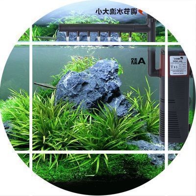 如何選擇合適的魚缸過濾器：如何選擇適合自家魚缸的過濾器 如何選擇合適的魚缸過濾器：如何選擇適合自家魚缸的過濾器 魚缸百科 第1張