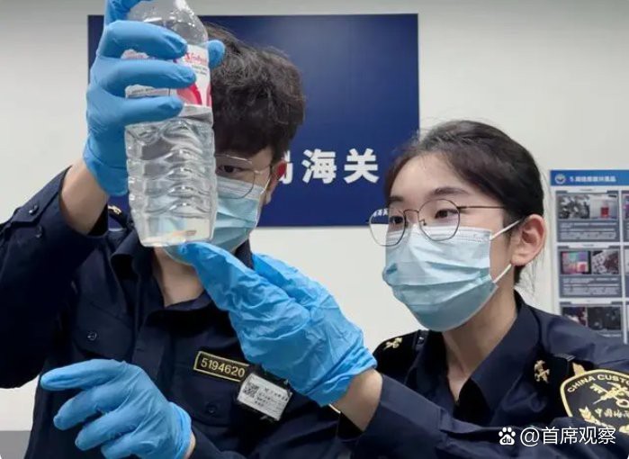 青鳉魚為何被國家禁止